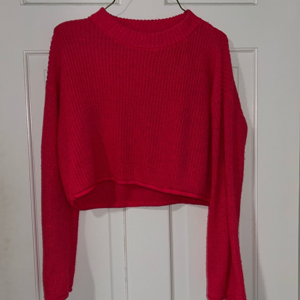 Wild fable cropped sweater